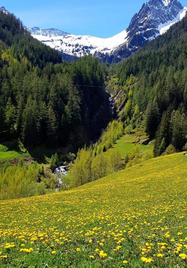 Gaestehaus Alpengluehn Meien Esterno foto
